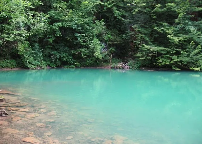 In By River Kupa 別荘 *